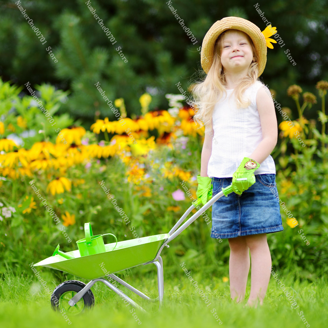 Brouette d'extérieur pour enfa - Kids Outdoor Activity Toys avis et prix